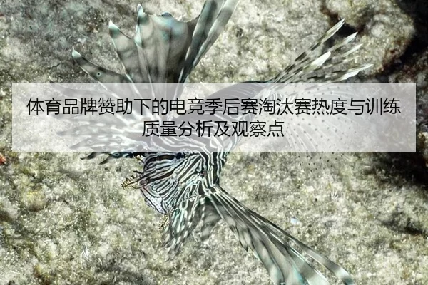 ti-yu-pin-pai-zan-zhu-xia-de-dian-jing-ji-hou-sai-tao-tai-sai-re-du-yu-xun-lian-zhi-liang-fen-xi-ji-guan-cha-dian-2-638.jpg